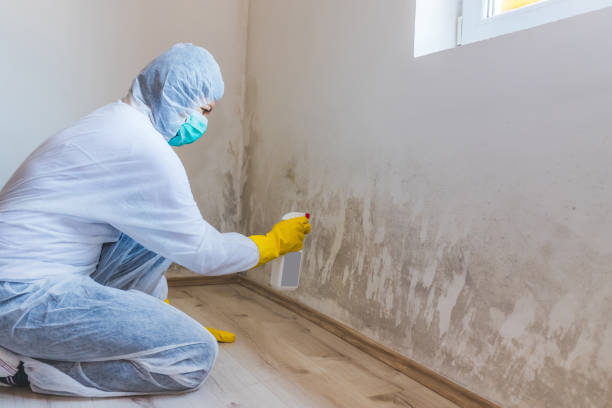 Mold Remediation specialist working in Sunbury