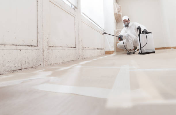 Post-remediation clearance in Sunbury