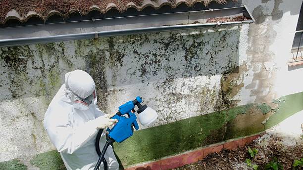 Mold Remediation service in Sunbury, Sunbury, NC